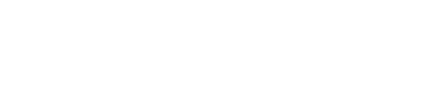 Rapidenet
