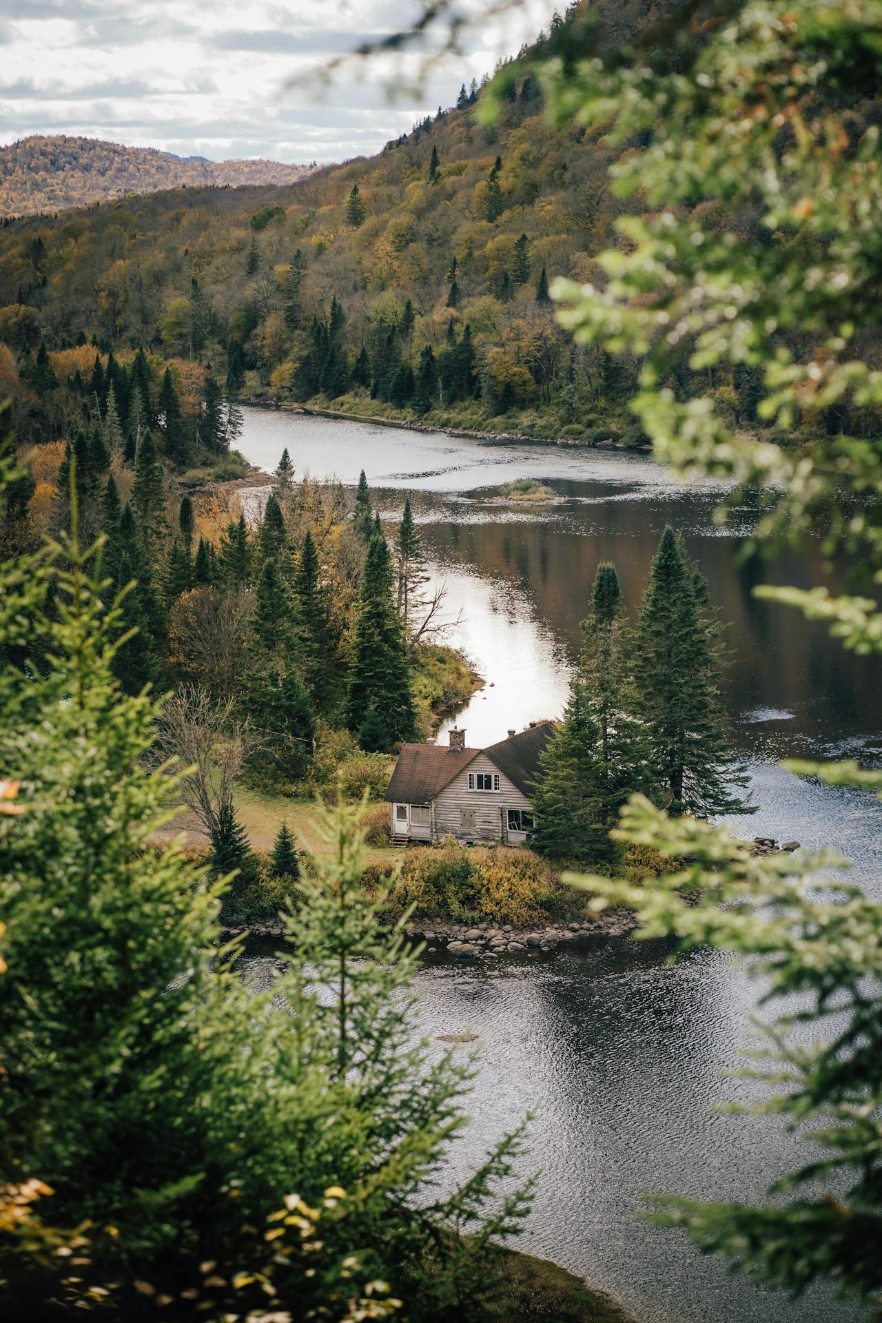 Les produits bio au Québec : Une révolution écologique et économique